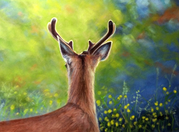 Wallace, Lucy. Antlers with Bokeh, Soft Pastels on Velour Paper 12x16.jpg